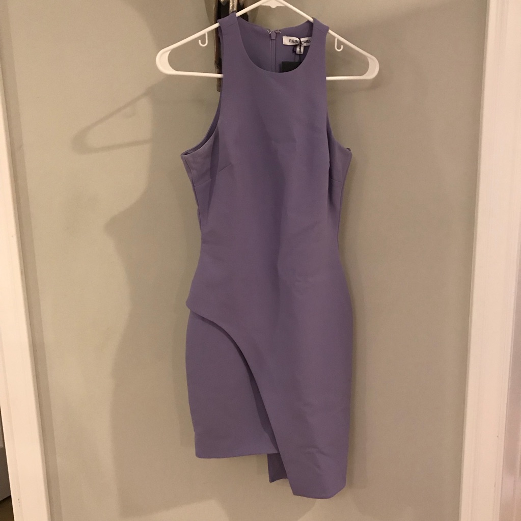 Purple Elizabeth And James Dress